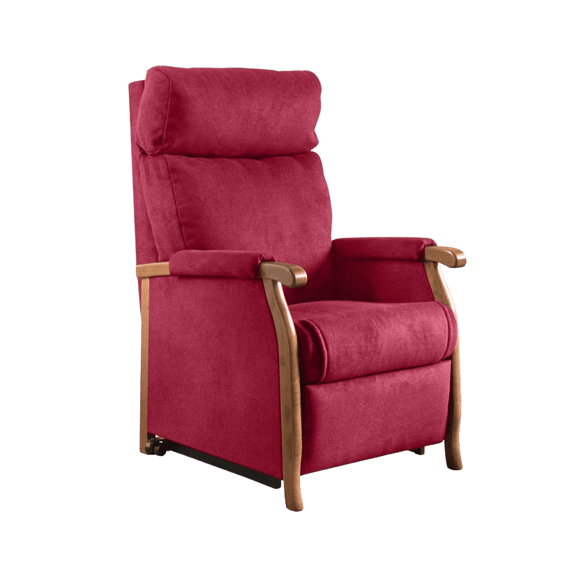 Fauteuil releveur 2 moteurs PANAMA