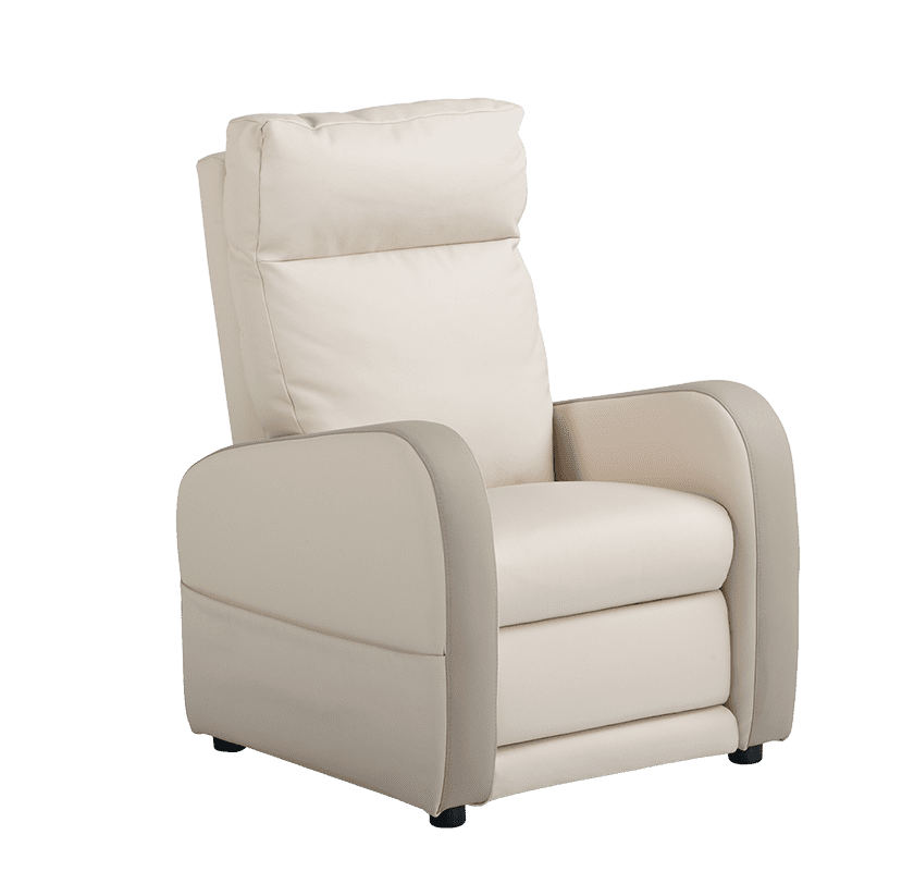 Fauteuil releveur 3 moteurs cuir bicolore FIDJI